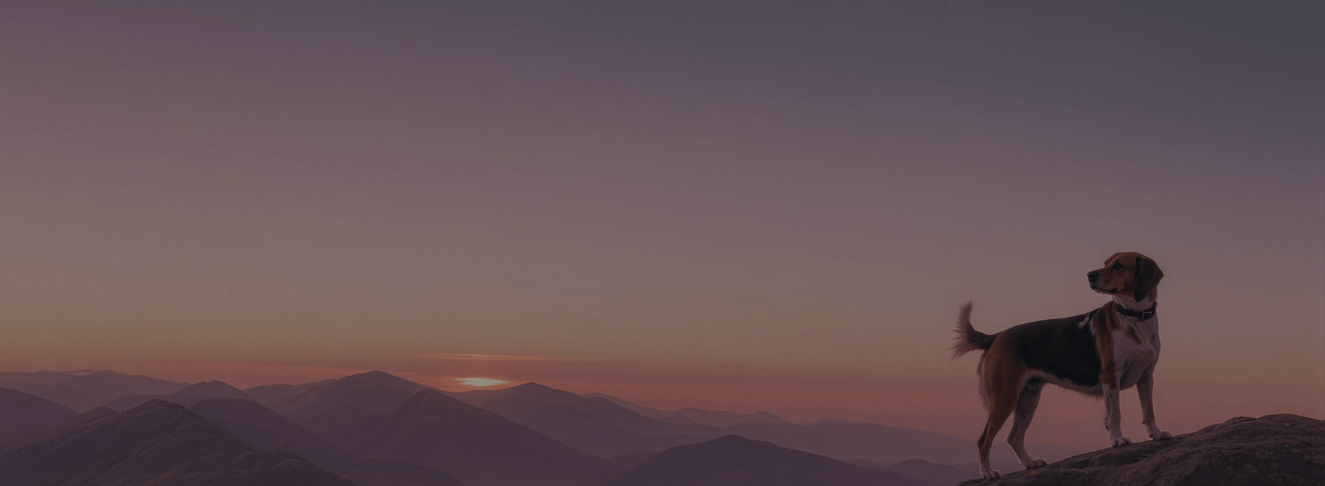 Mountain sunset background