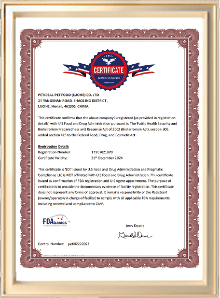 ISO 9001 Certificate