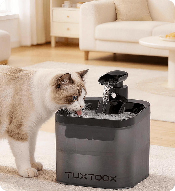 Smart Water Fountain
