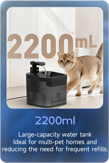 2200mL